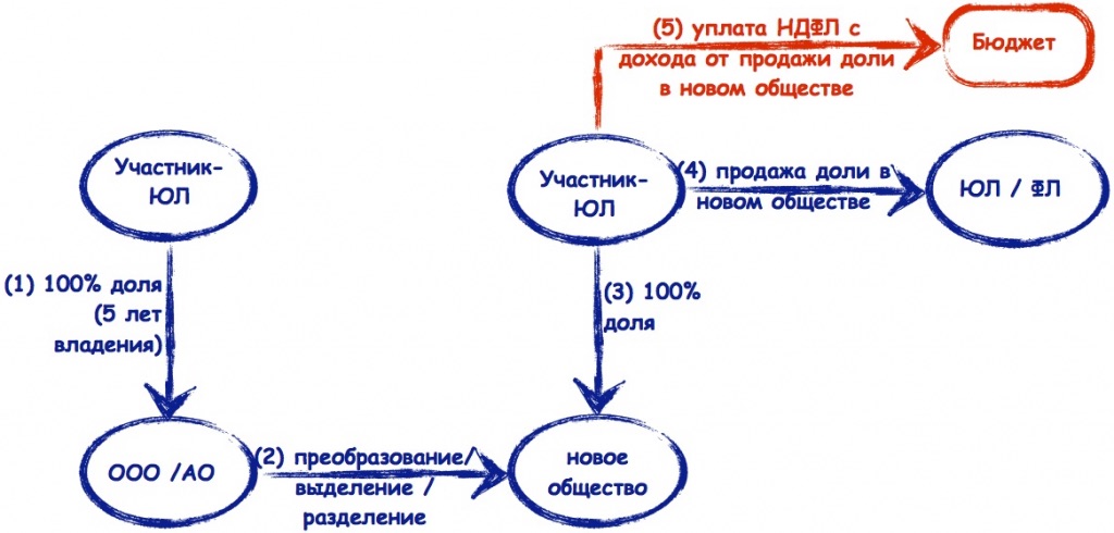 Учет долей в ооо